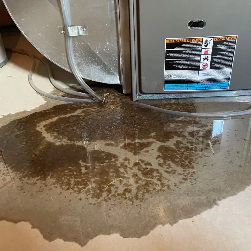 Pipe Burst and Leak Restoration in New Boston, NH