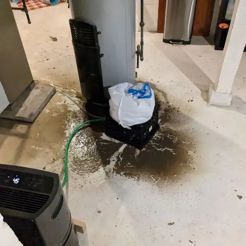 Sewage Backup Cleanup Service in New Boston, NH